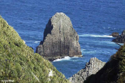 2296-nugget-point.jpg