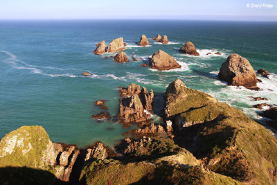 Nugget Point & Roaring Bay