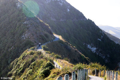 8991-nugget-point.jpg