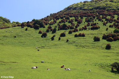 9080-pounawea-to-purakaunui.jpg