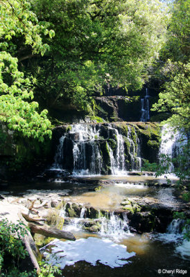 9104-purakaunui.jpg