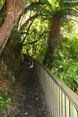 9120-purakaunui.jpg
