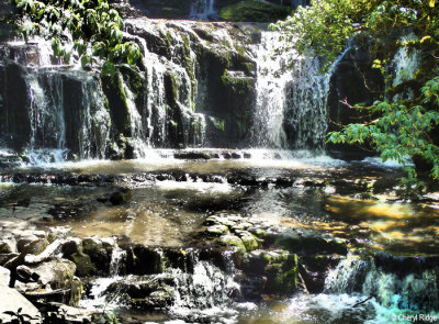 Purakaunui Falls