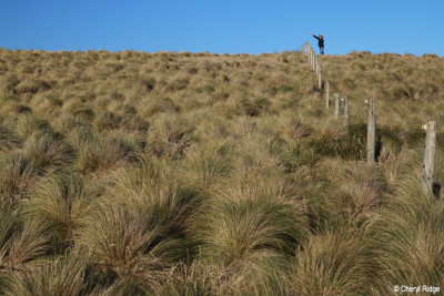 9233-slope-point.jpg