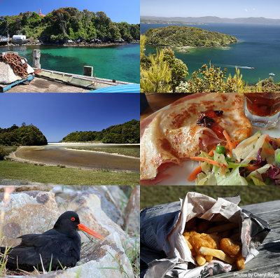 stewart-island-part1.jpg