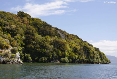 2690-ulva-island.jpg