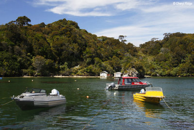 2702-ulva-stewart-island.jpg