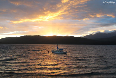 9915c-te-anau.jpg