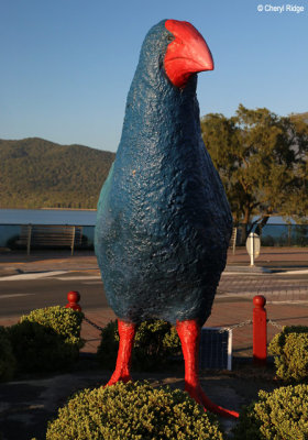 9946-te-anau.jpg