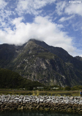 2878-milford-sound.jpg