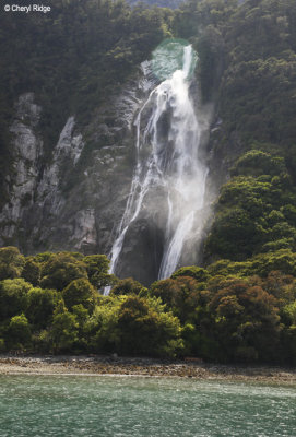 2886-milford-sound.jpg