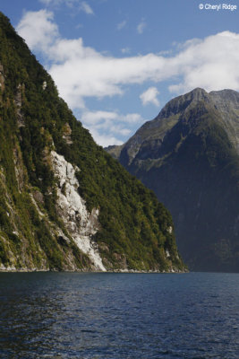 2904-milford-sound.jpg