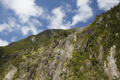 2908-milford-sound.jpg