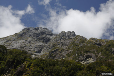 2911-milford-sound.jpg