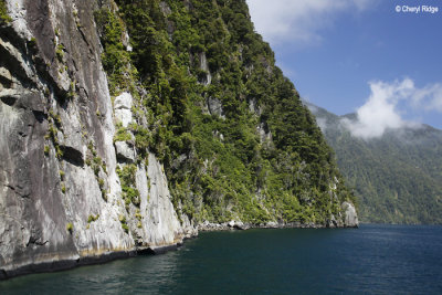 2933-milford-sound.jpg