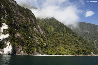 2936-milford-sound.jpg