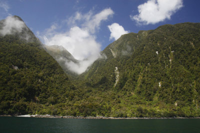 2943-milford-sound.jpg