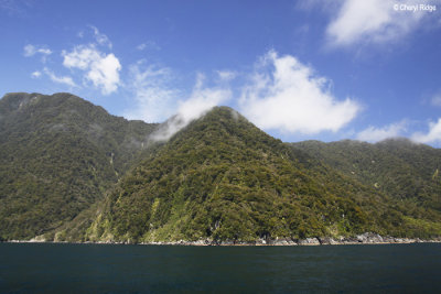 2950-milford-sound.jpg