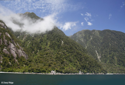 2964b-milford-sound.jpg