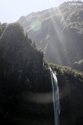 2982-milford-sound.jpg
