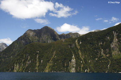 2984b-milford-sound.jpg