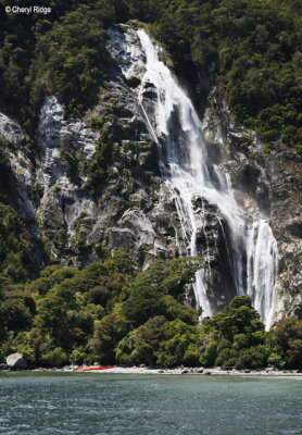 3004-milford-sound.jpg