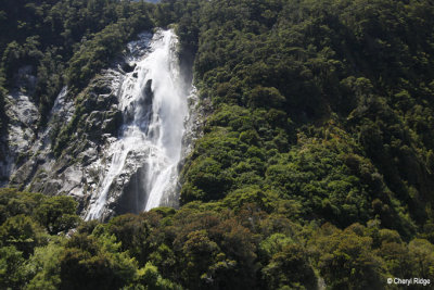 3006-milford-sound.jpg
