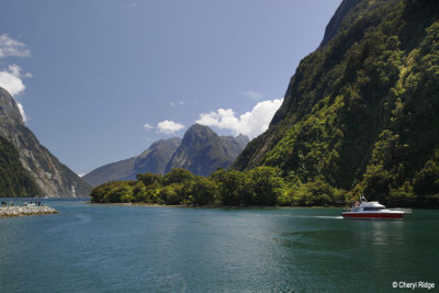 3014-milford-sound.jpg