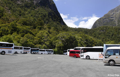 3023-milford-sound.jpg