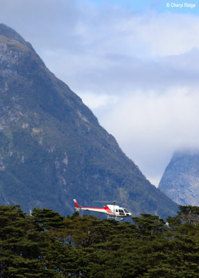 9771-milford-sound.jpg