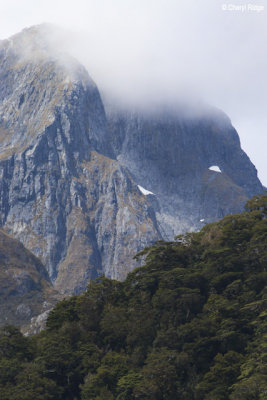 9780-milford-sound.jpg