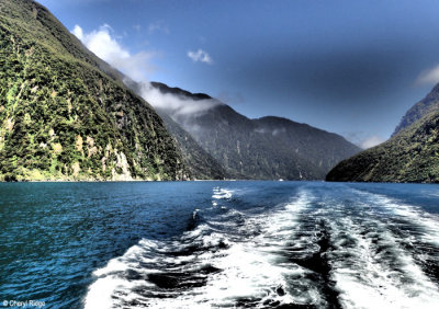 PC300105-milford-sound.jpg
