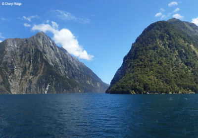 PC300146-milford-sound.jpg
