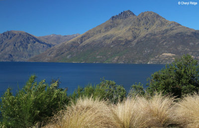 0109b-te-anau-to-qtn.jpg