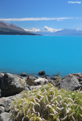 0617b-mount-cook-lake-pukaki.jpg