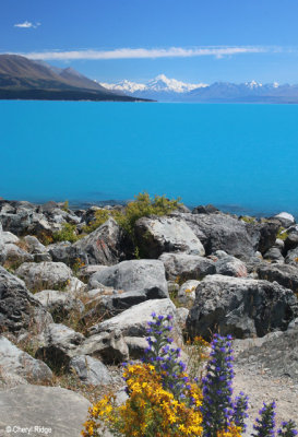 0623-mount-cook-lake-pukaki.jpg