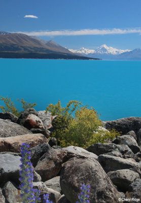 0626b-mount-cook-lake-pukaki.jpg