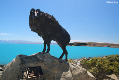 0633-mount-cook-lake-pukaki.jpg