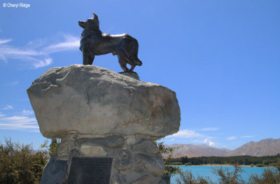 0689-tekapo.jpg