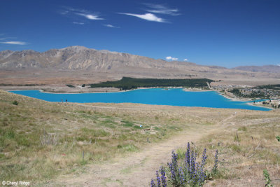 0701-tekapo.jpg