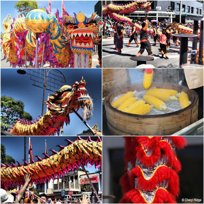 Chinese New Year Glen Waverley 2016