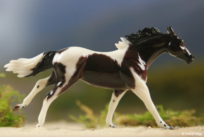 Breyer Stablemate CM by Amanda Tolleson