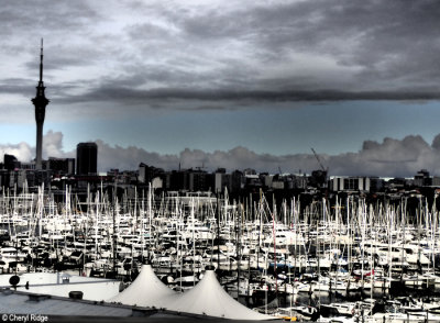 P6010028-city-of-sails.jpg