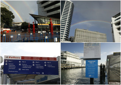 auckland-downtown-harbour.jpg