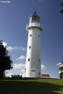 3886-tiritiri-matangi-lighthouse.jpg