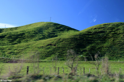 1331-driving-from-auckland.jpg