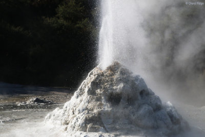 1369-lady-knox-geyser.jpg