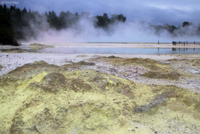 1530-nr-champagne-pool.jpg