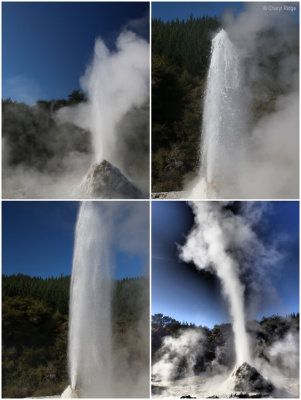 lady-knox-geyser-vert2.jpg