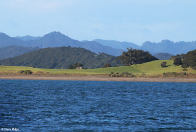 2513-bay-of-islands.jpg